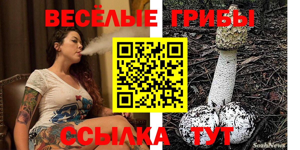 Галлюциногенные грибы Psilocybine cubensis  цены   Ухта  Псилоцибиновые грибы Psilocybe  Вход с VPN 